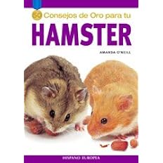 Hamster